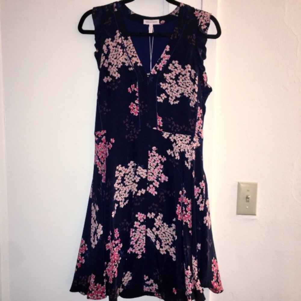 Rebecca Taylor Phlox Dress | Sz 4